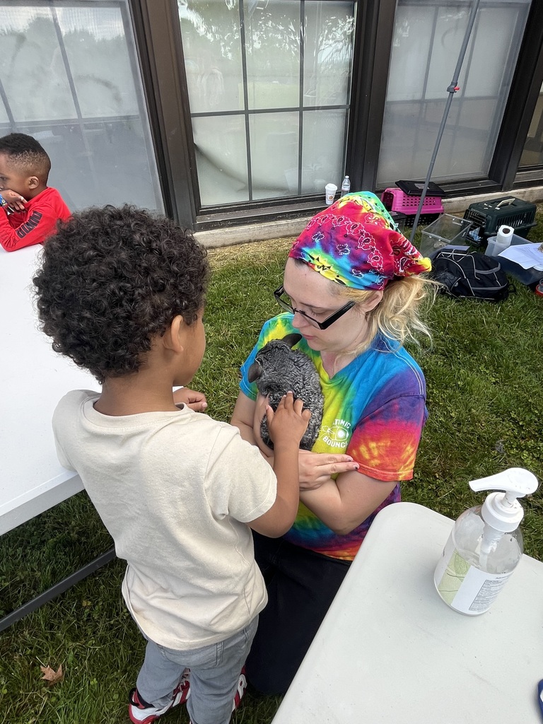Students experiencing a petting zoo