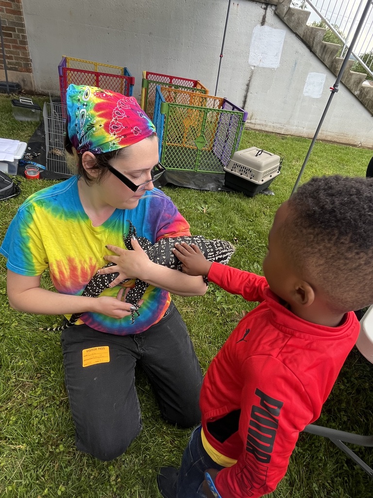 Students experiencing a petting zoo