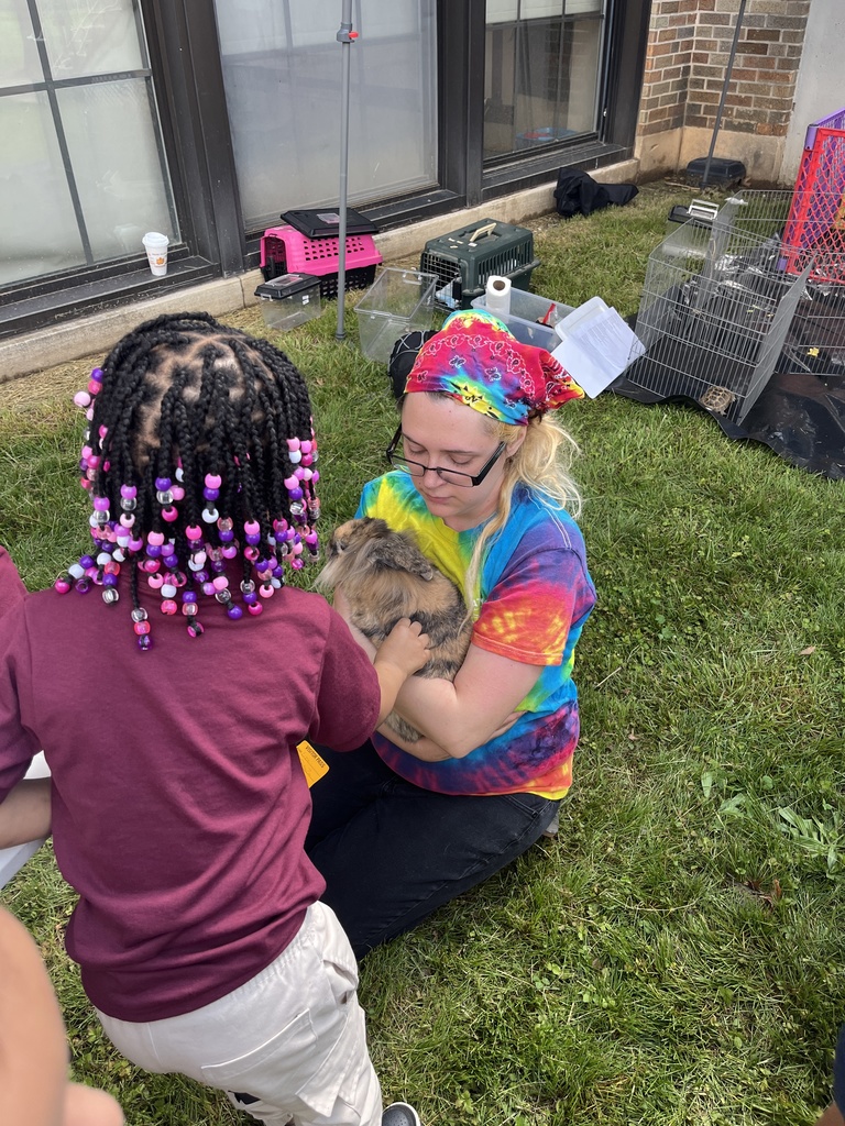 Students experiencing a petting zoo