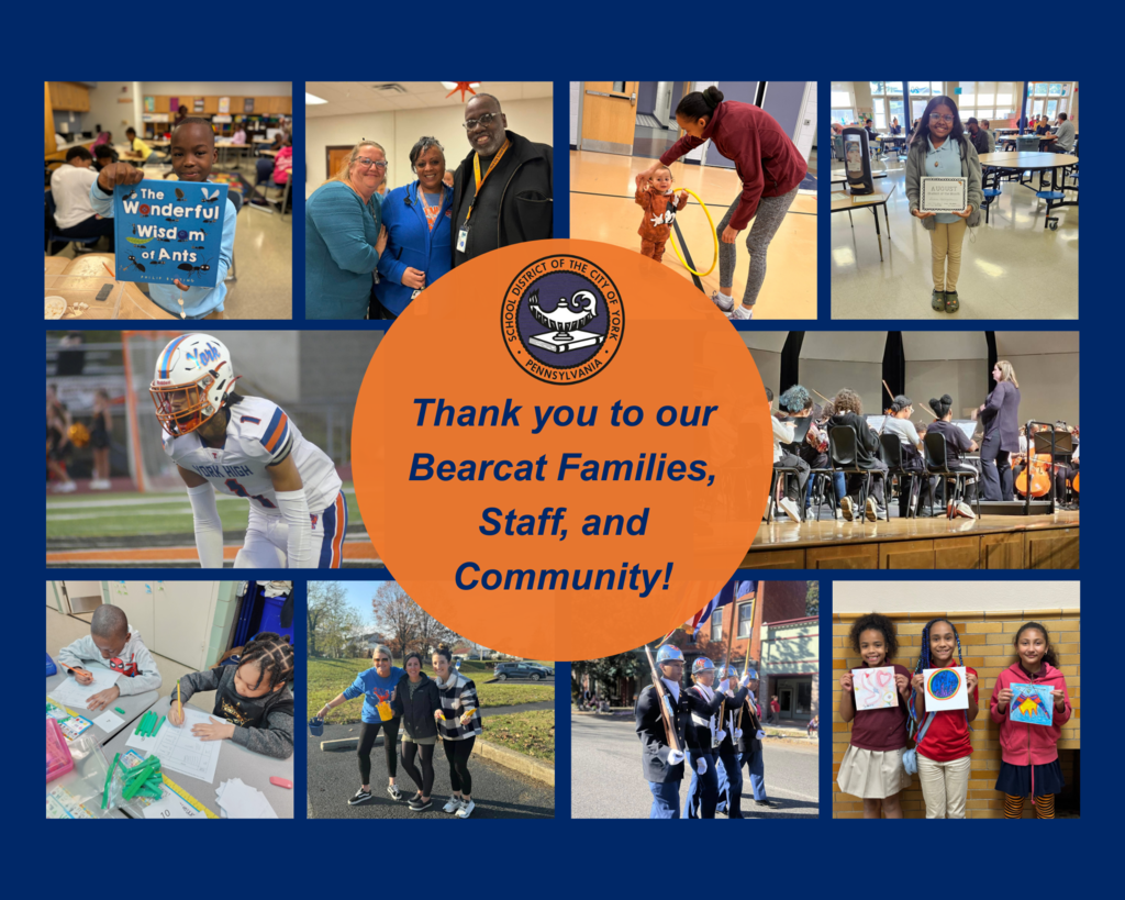 Thank You Graphic with a collage of pictures and text