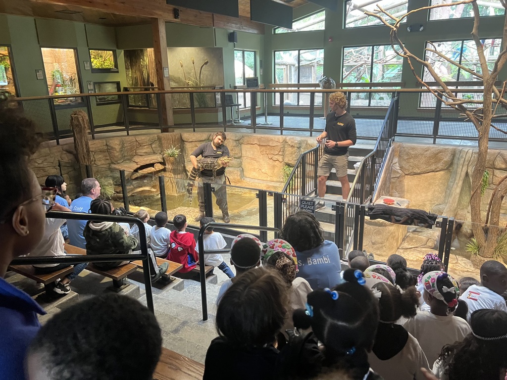 A group of children sitting in an observation area at a zoo, watching a presentation by two staff members near a habitat. One staff member is holding an animal while the other explains to the audience.