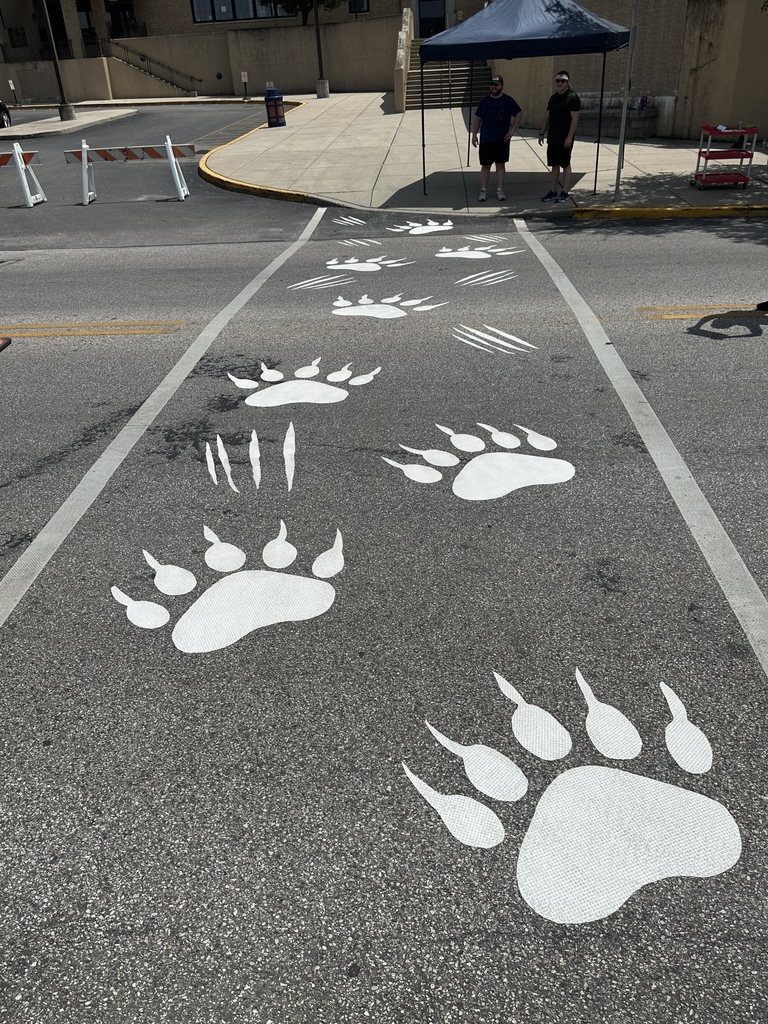 White paw prints painted on asphalt, leading toward a school building in a sunny urban setting.