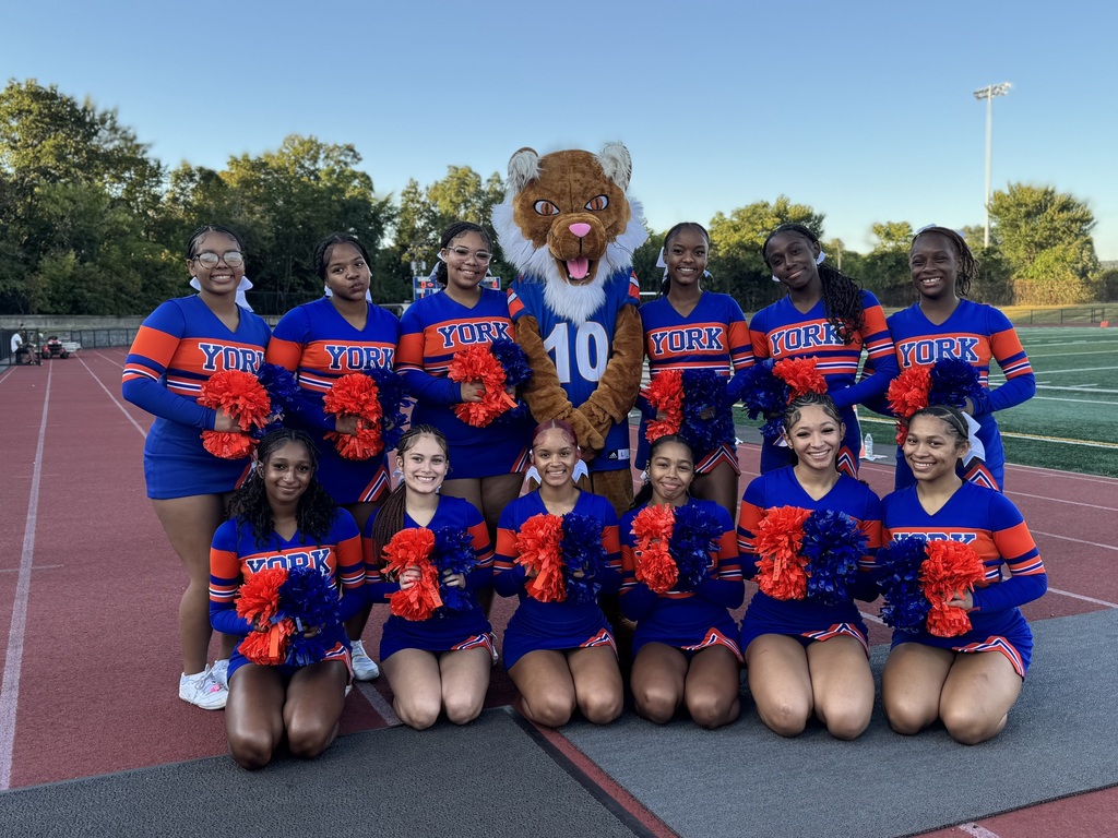 York High Cheerladers with the York High Mascot at York High's recent Football Game.