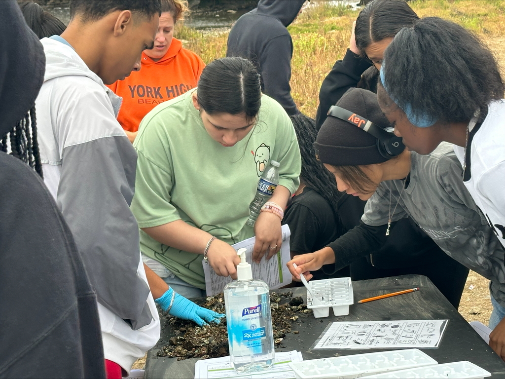 A group of students gathering around a table outside, examining materials for a science project.