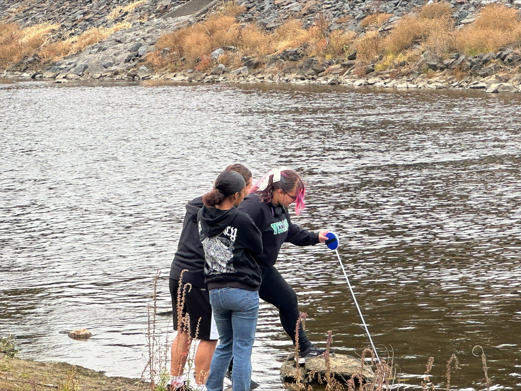 A group of students standing on a riverbank. One of the students is using a stick to collect samples of water.