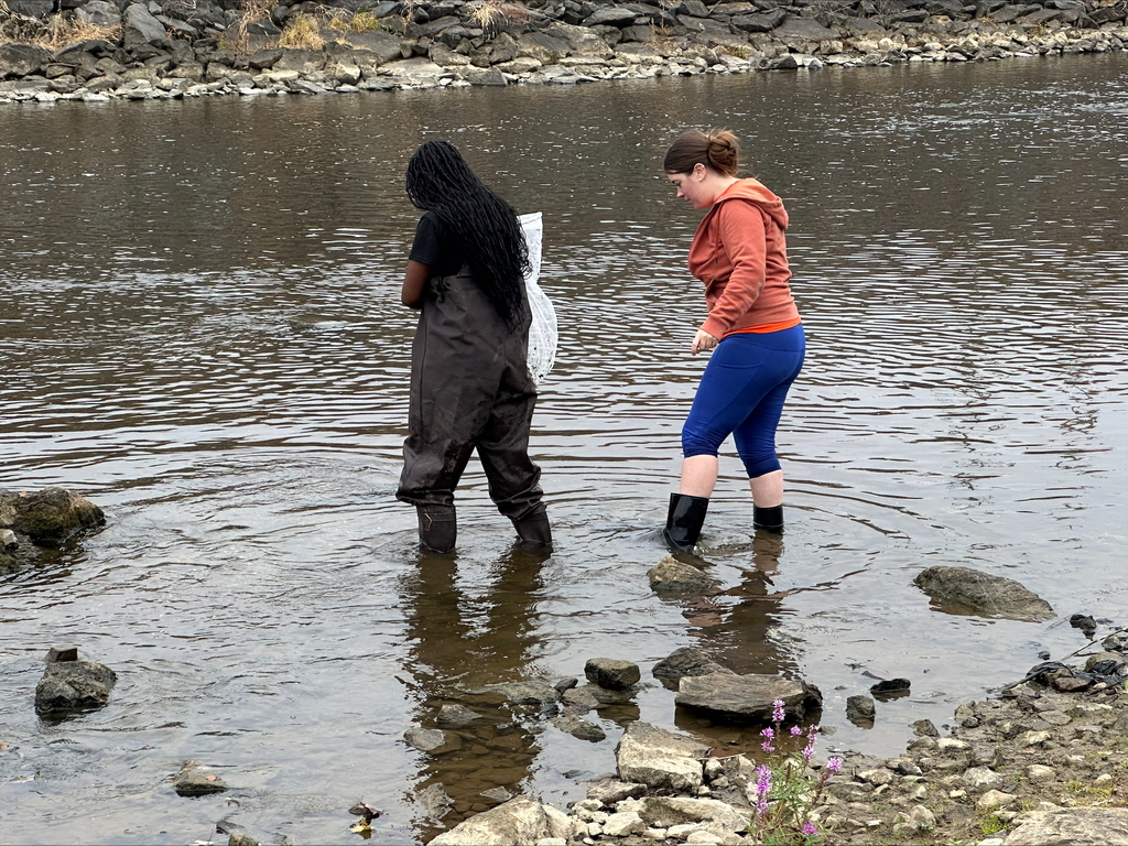 A district staff member and a student walking in a lake surrounded by large rocks. The student is holding a white net.