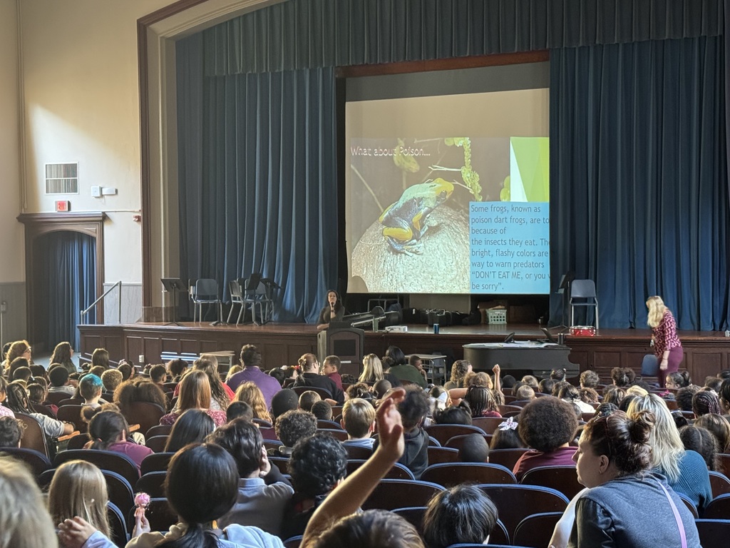 An audience of students in an auditorium watching a presentation on poison dart frogs. A large screen is displaying a colorful frog image and text.