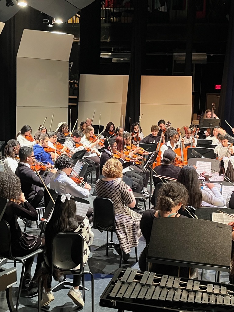 A group of student musicians and an instructor in a concert setting are playing string instruments, including violins and cellos.