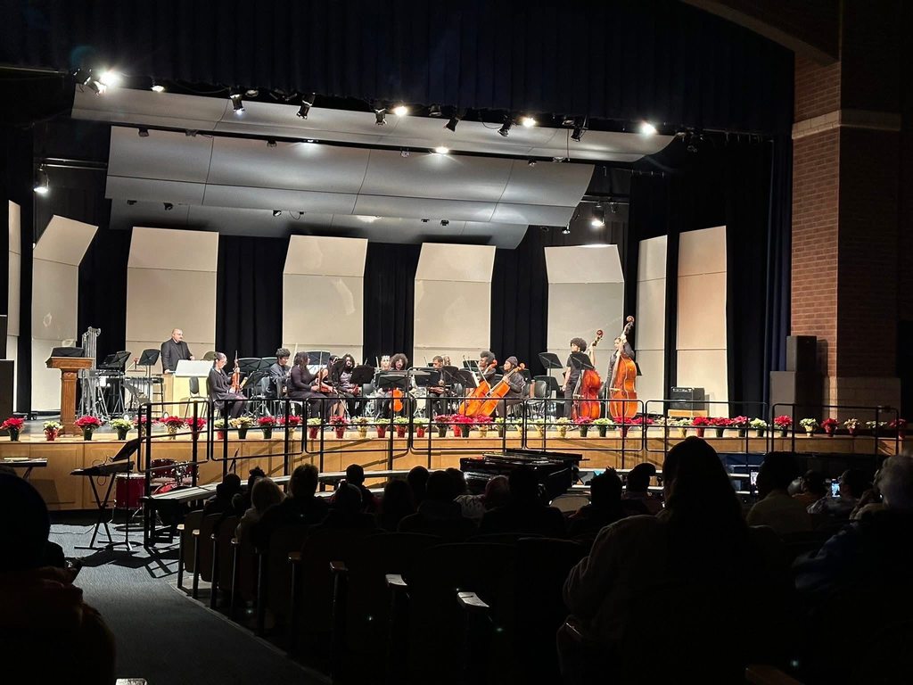 A symphony orchestra on stage, musicians with string instruments in a concert setting. Red poinsettias line the stage for a festive mood.