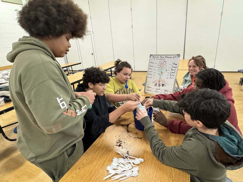 A group of five students are gathered around a table in a school cafeteria engaging in a planting activity. They are using soil that is in a blue pot as well as plastic spoons. A district staff member can be seen sitting at the table observing the students.