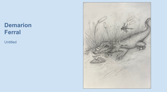 Artwork by student Demarion Ferral, featuring a pencil sketch of a crocodile in a swampy setting, its mouth open, with tall grasses and a dragonfly above. 
