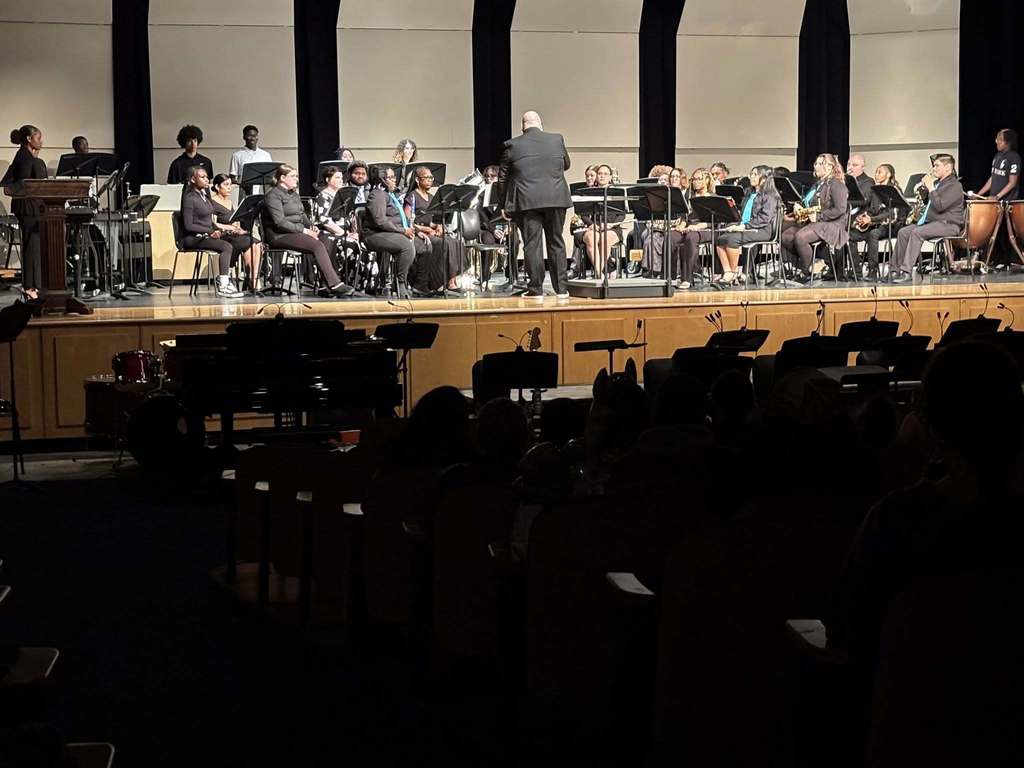 The William Penn Senior High School Band and Orchestra recently performed in the William Penn Senior High School Auditorium for their annual Spring Concert. 
