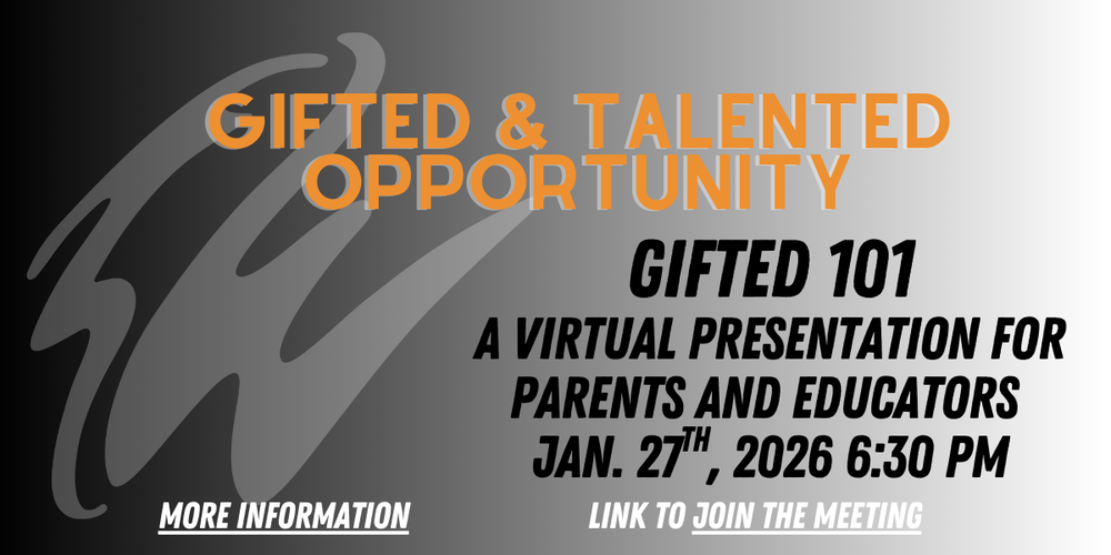 Gifted and Talented Opportunity