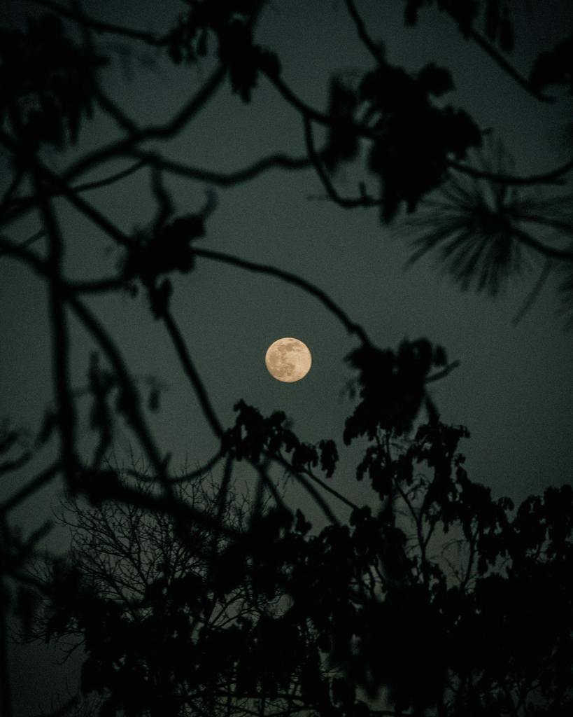 Full moon