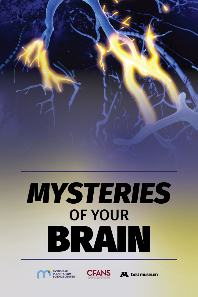 Mysteries of the Brain