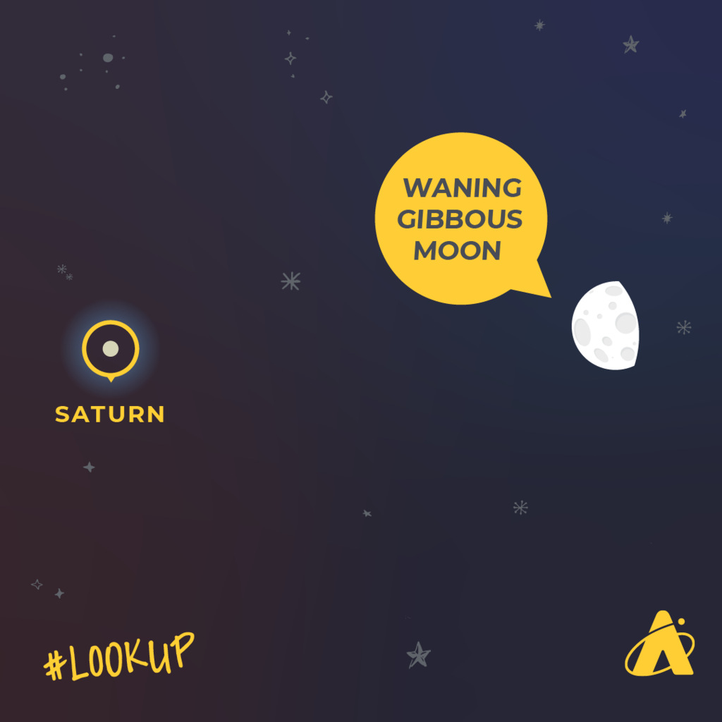 Look Up!