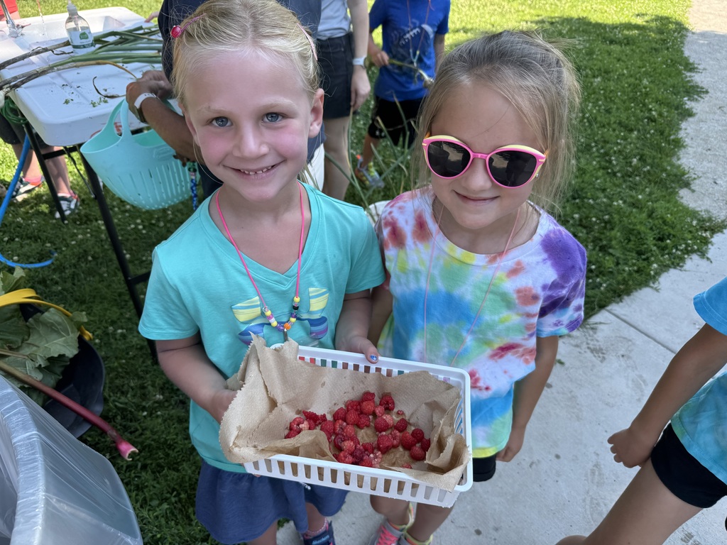 berries