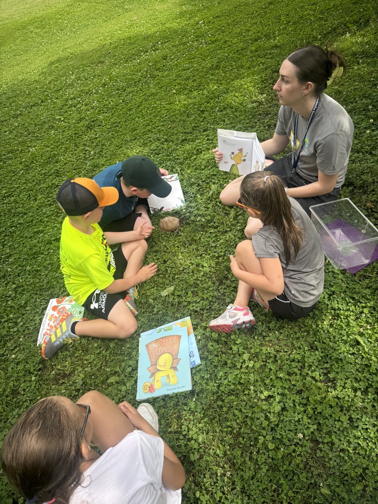 reading