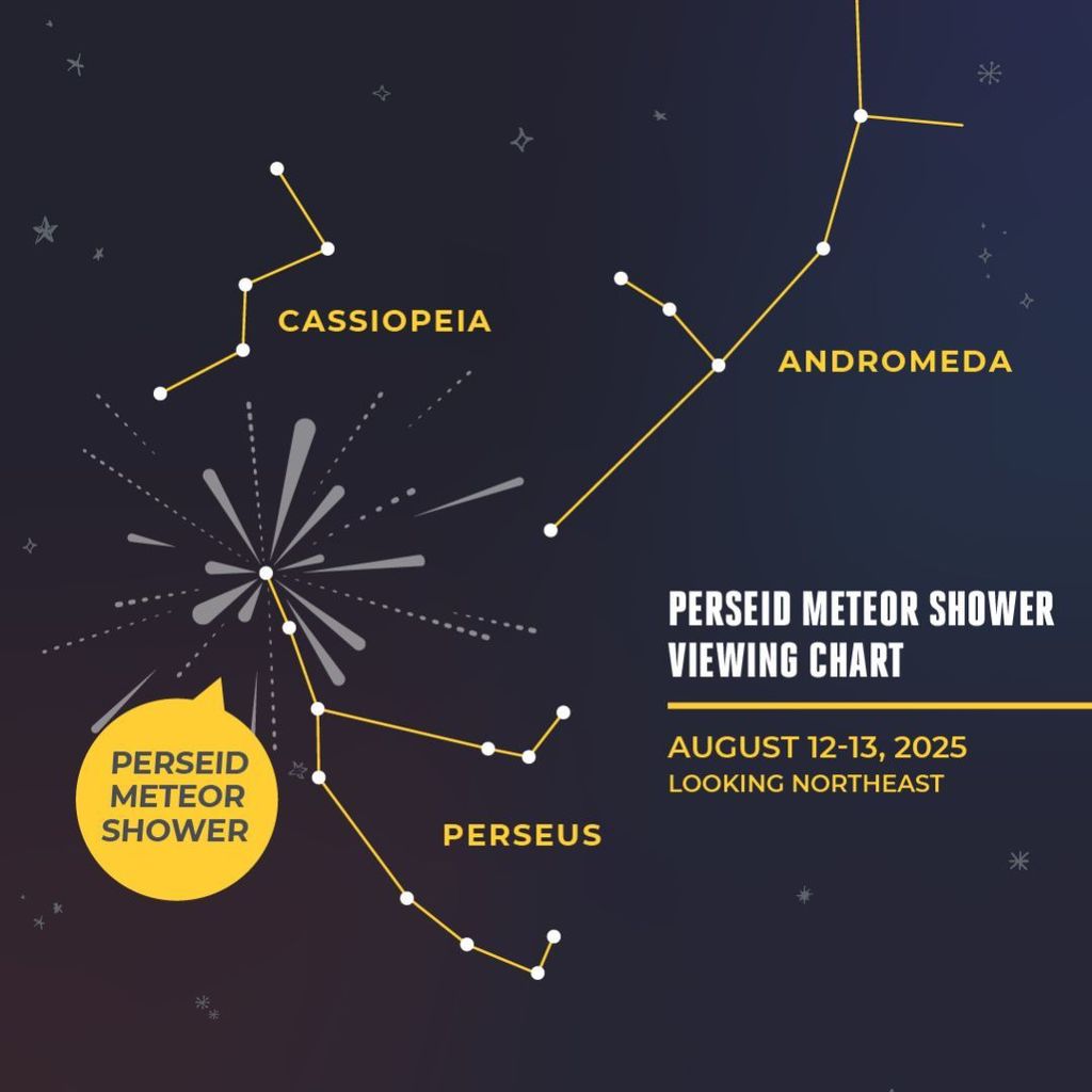 Perseid Meteor Shower
