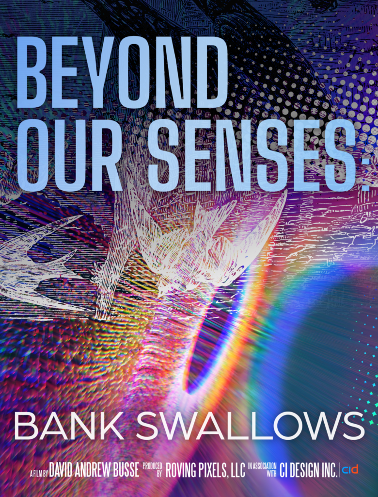 Apple Harvest Festival- Beyond Our Senses