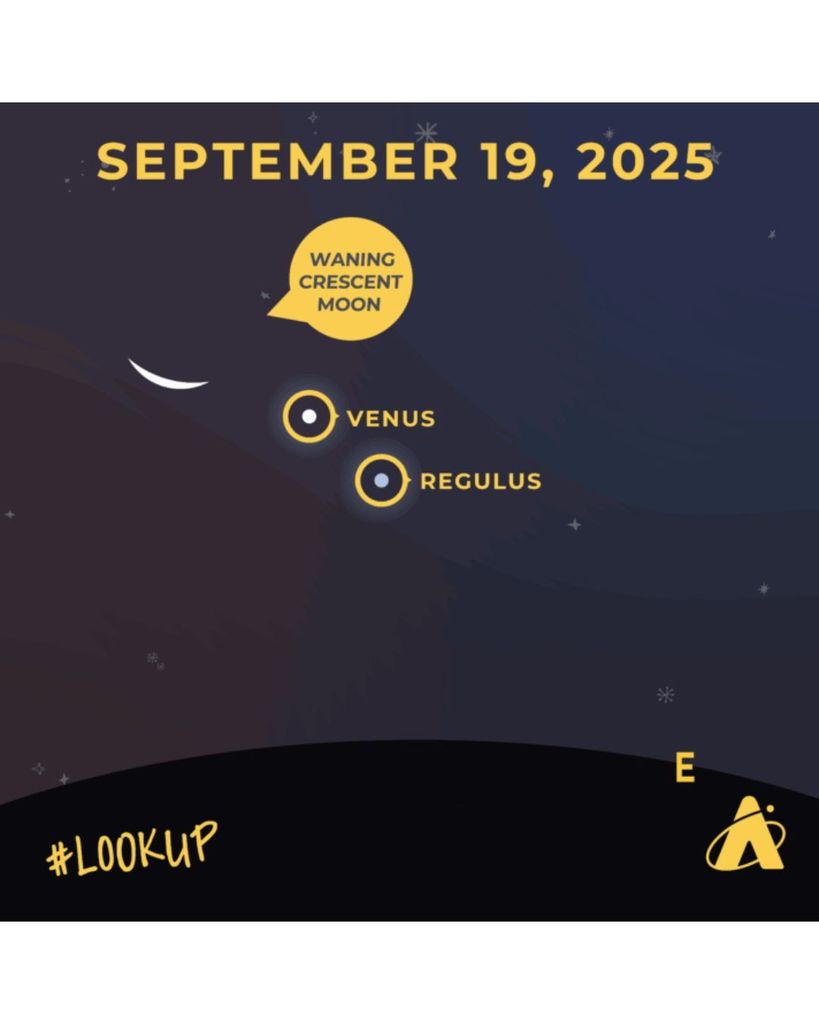 Look Up!