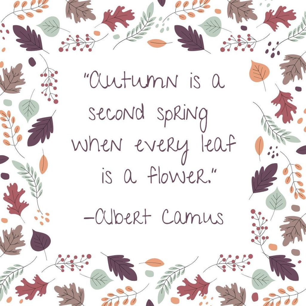 Happy Fall!