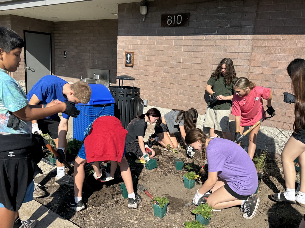 Students planting