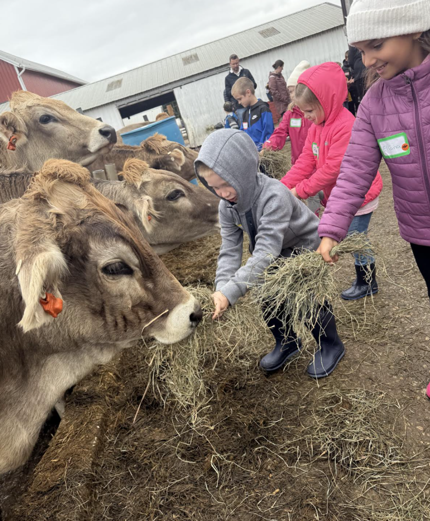 Cozy Nook Farms Visit