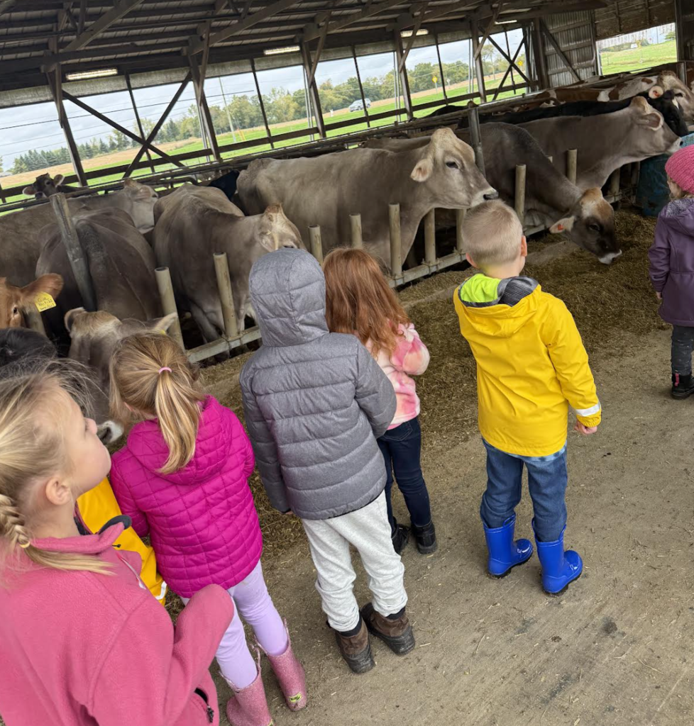 Cozy Nook Farms Visit