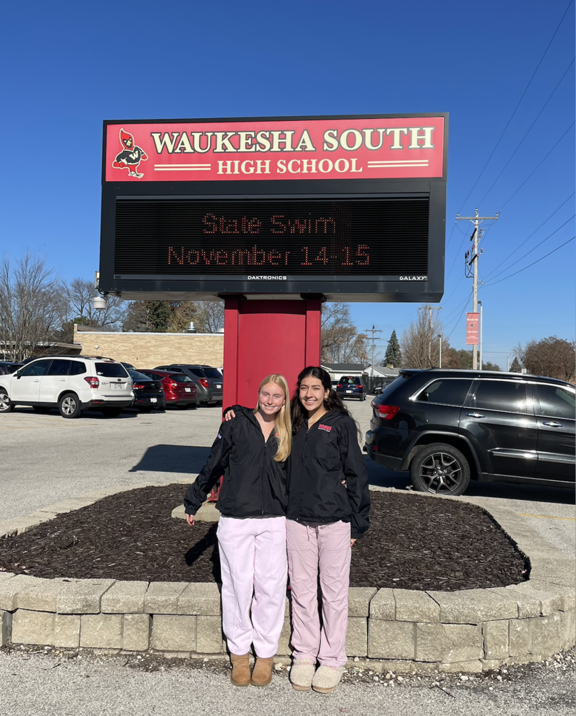 State Swim