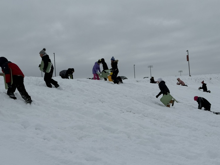 sledding