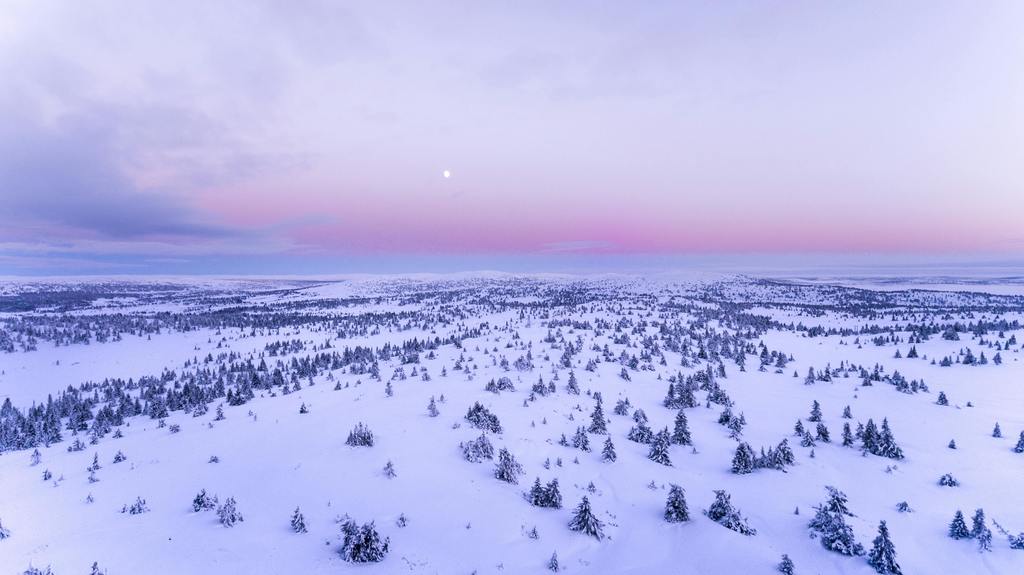 It should be no surprise that Native Americans named the February full moon the Snow Moon. Why? Because the heaviest shows usually fell during this month. Some tribes also referred to this Moon as the Full Hunger Moon, since harsh weather conditions in their areas made hunting very difficult. #wherethestarshangout