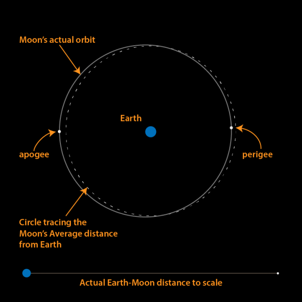 The Moon reaches perigee today 🌕 What’s that? The Moon’s orbit isn’t a perfect circle, so today it’s at its closest point to Earth—227,341 miles away (just over 1 light-second!). This happens at 4:00pm, marking the 2nd perigee this month. Source: earthsky.org