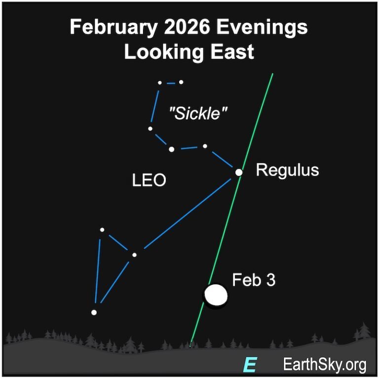 Tonight, catch the waning gibbous moon rising with Regulus, the brightest star in Leo's Sickle pattern, in the eastern sky after sunset! 🌕🦁