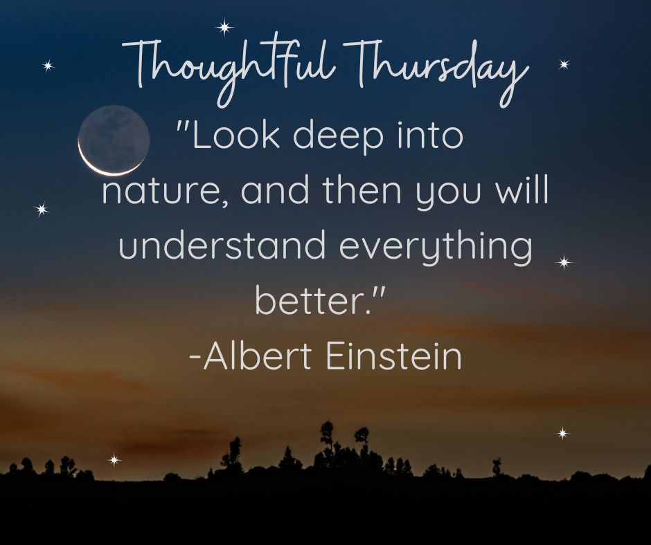 Enjoy this week's "Thoughtful Thursday," courtesy of Albert Einstein, who's birthday is just a few days away! #wherethestarshangout
