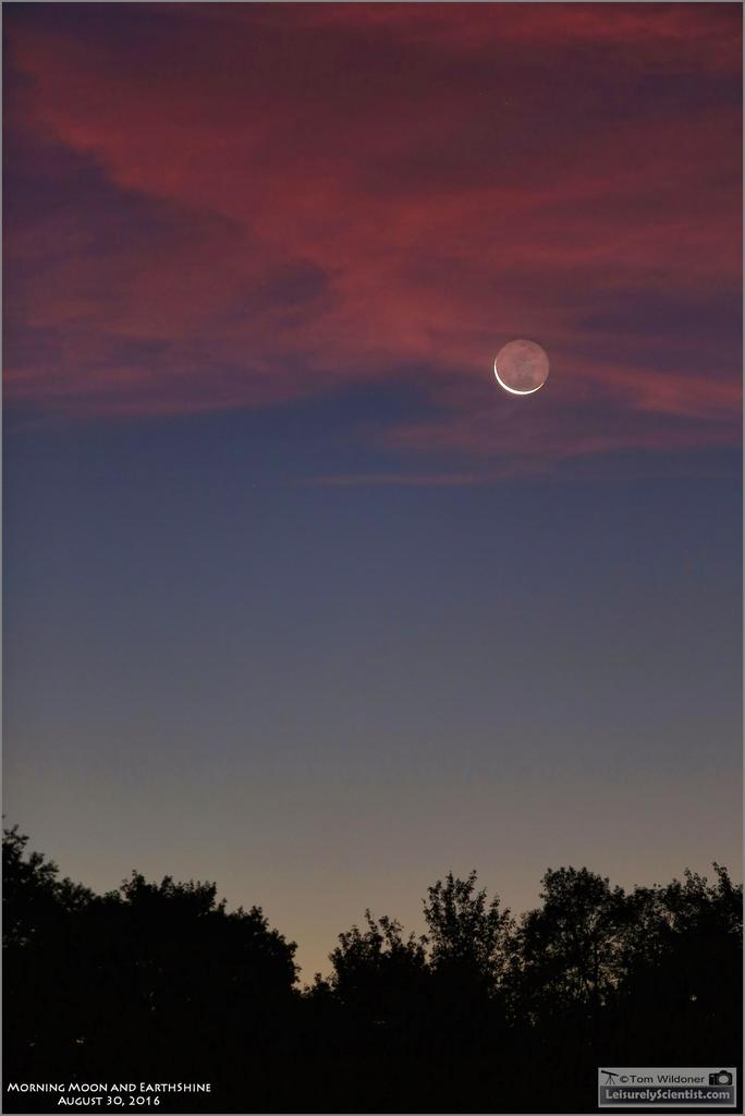 A sky with a waxing crescent moon and orange clouds. Trees are in the foreground.