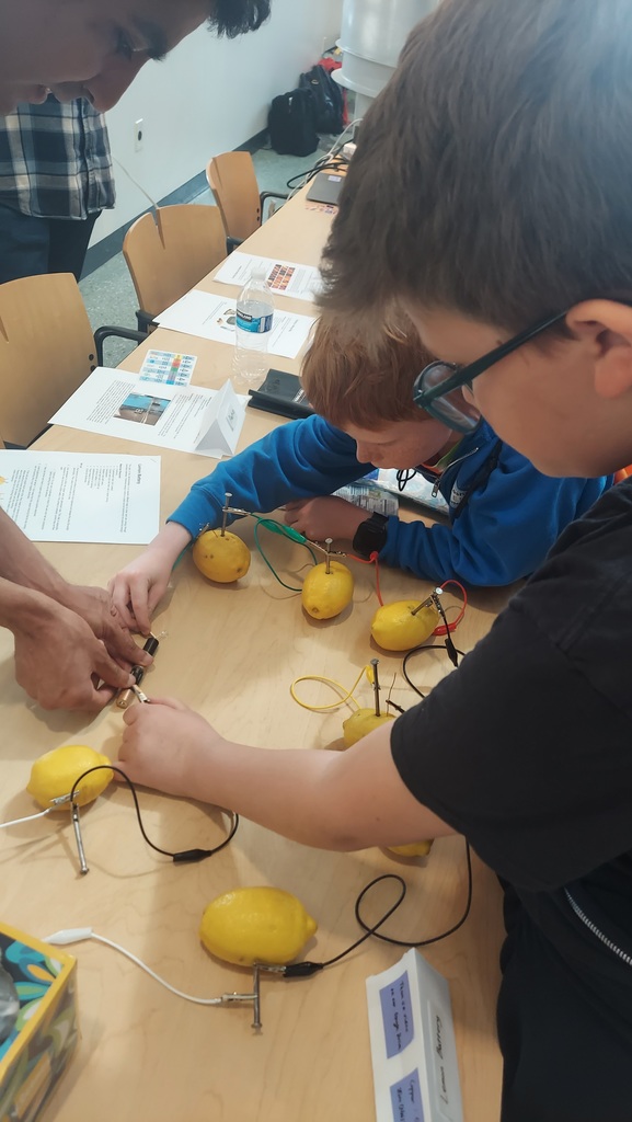 Madison STEM Field Trip - Potato Lab