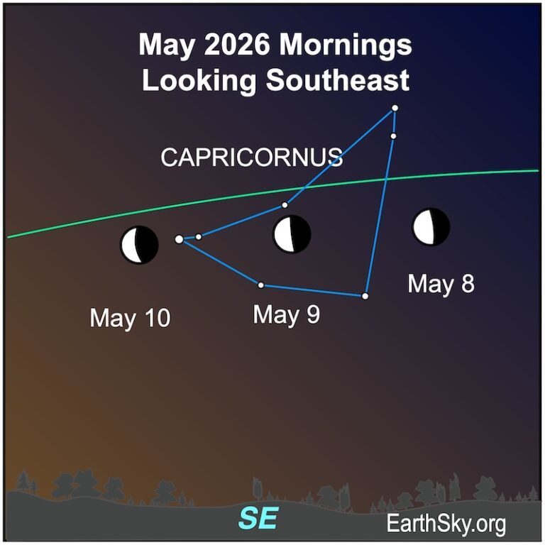For the next few mornings, the moon will shine in front of the stars of the constellation Capricornus the Sea Goat. The moon will reach the 3rd quarter phase on May 9. The stars of Capricornus form a pattern that resembles an arrowhead. Look for them before dawn. However, the constellation is faint so you’ll likely need a dark sky to spot it. SOURCE: earthsky.org