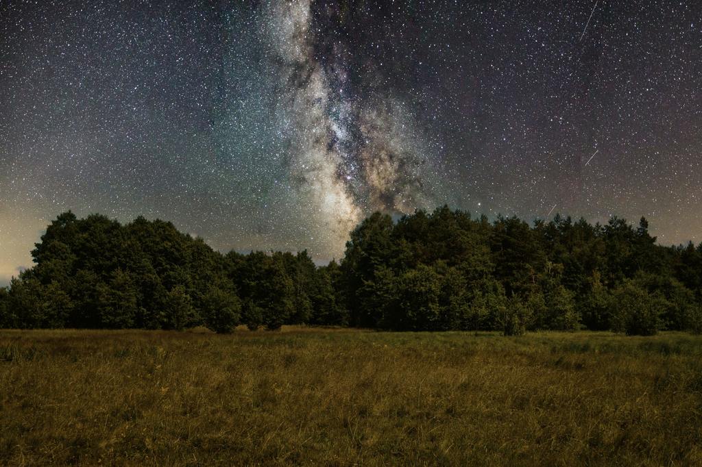 Happy Fun Fact Friday! 🎉 🌌Did you know that the Milky Way galaxy is so big that light takes about 100,000 years to cross it?! 🤔#wherethestarshangout