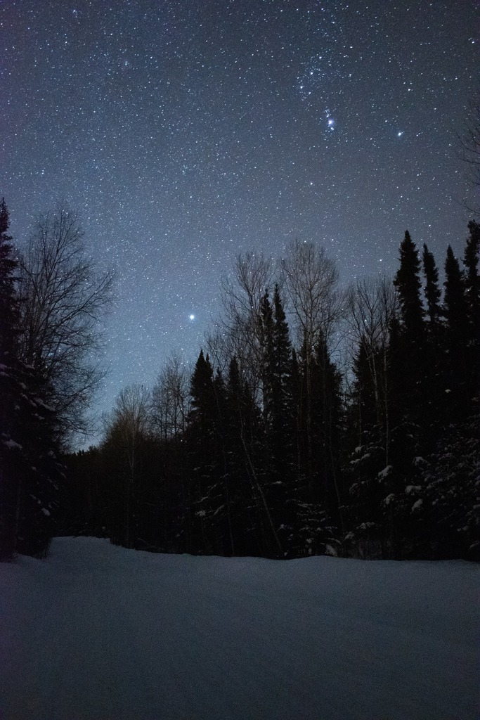 Great Night for Stargazing