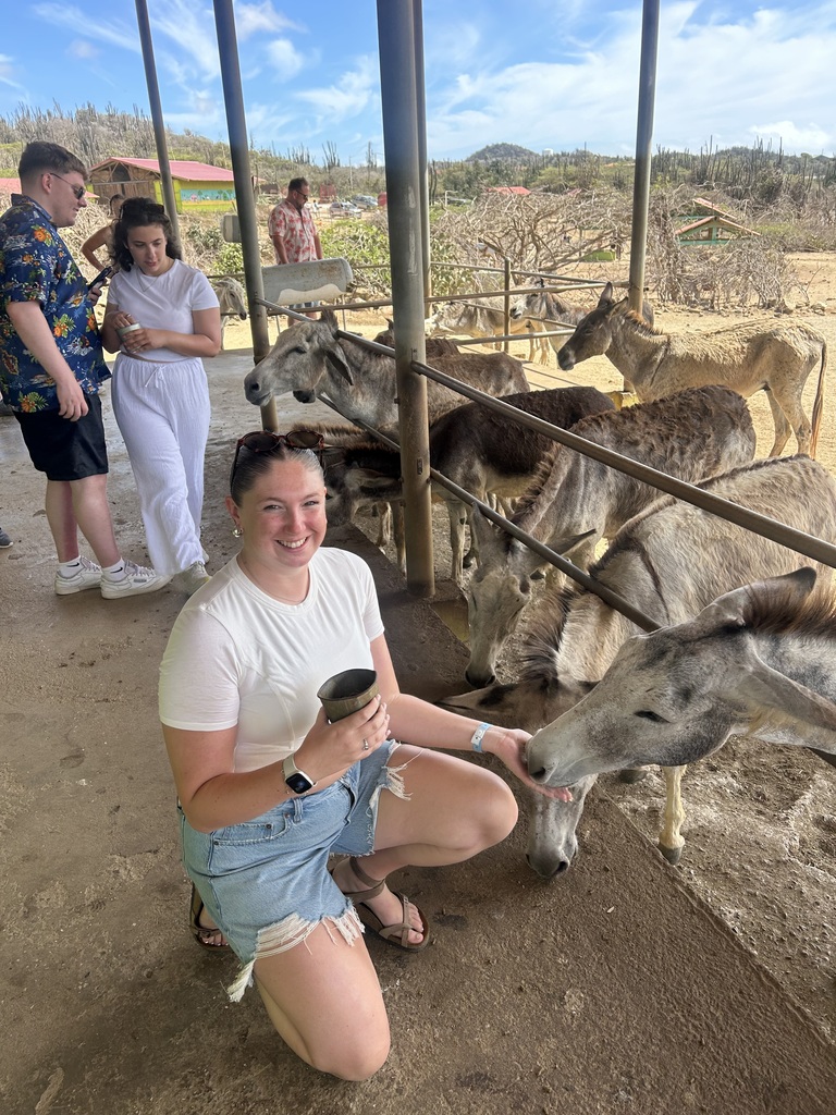 People in shorts and t-shirts stand near a fence. A woman kneels to feed a donkey.