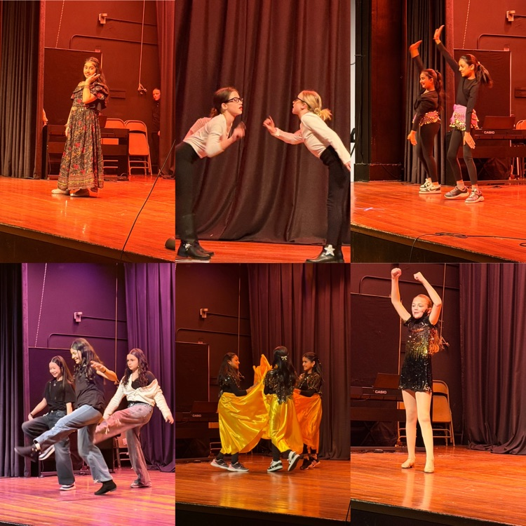 variety show 4