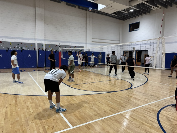 VB 2