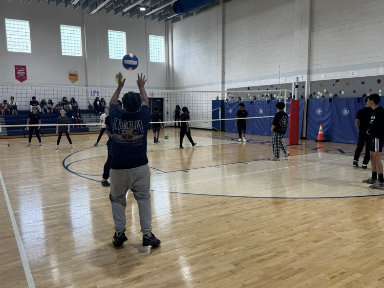 VB 10
