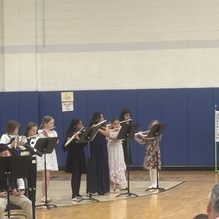 Beginner Band Concert