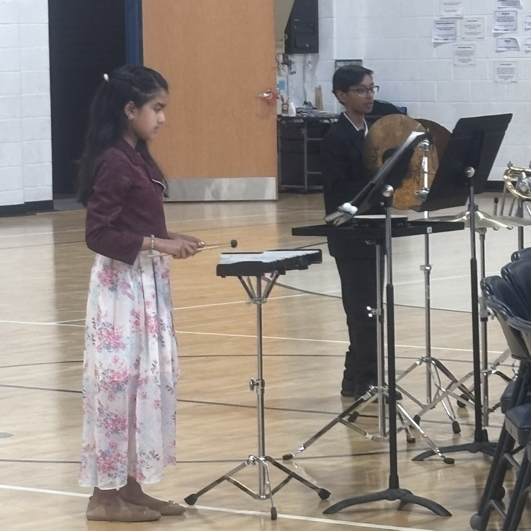 Beginner Band Concert