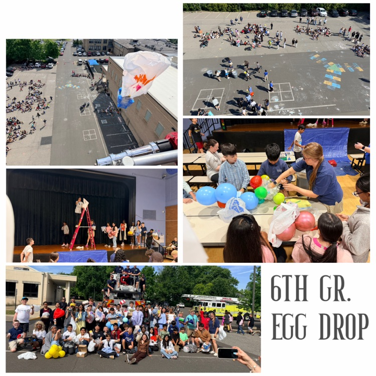 6th egg drop