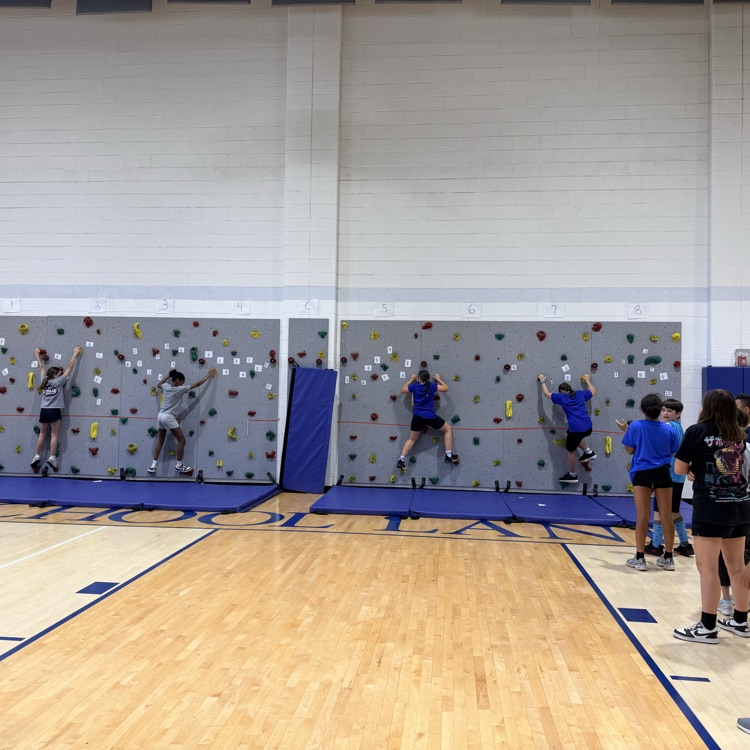 Field Day Fun