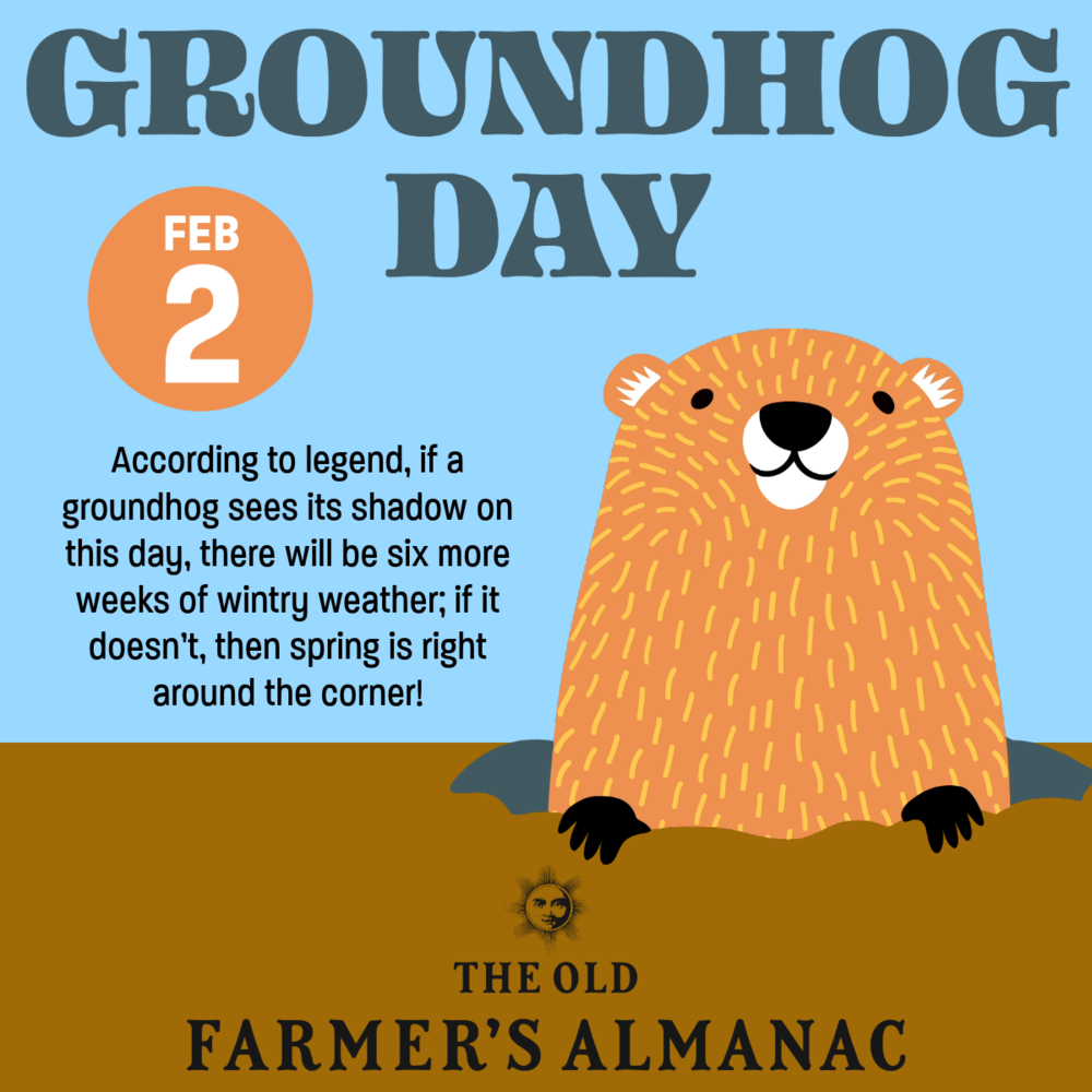 Goundhog day Feb 2