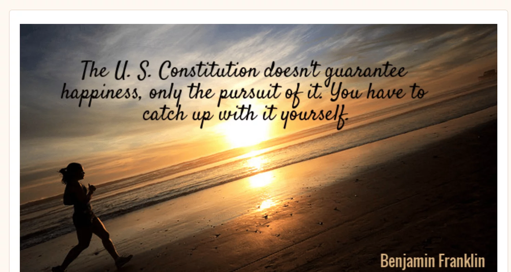 The U.S. Constitution doesn't guarantee happines, only the pursuit of it. You have to catch up with it yourself. - Benjamin Franklin